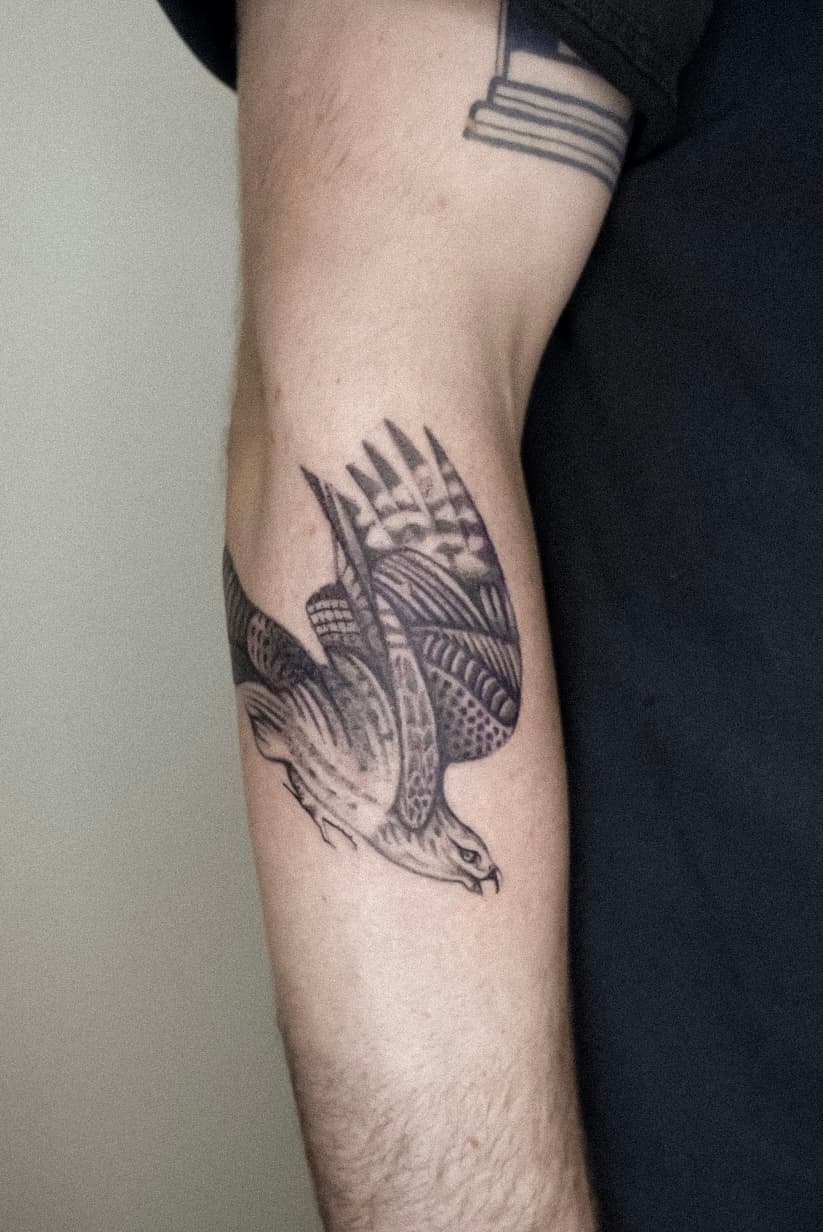 falcon from flash 