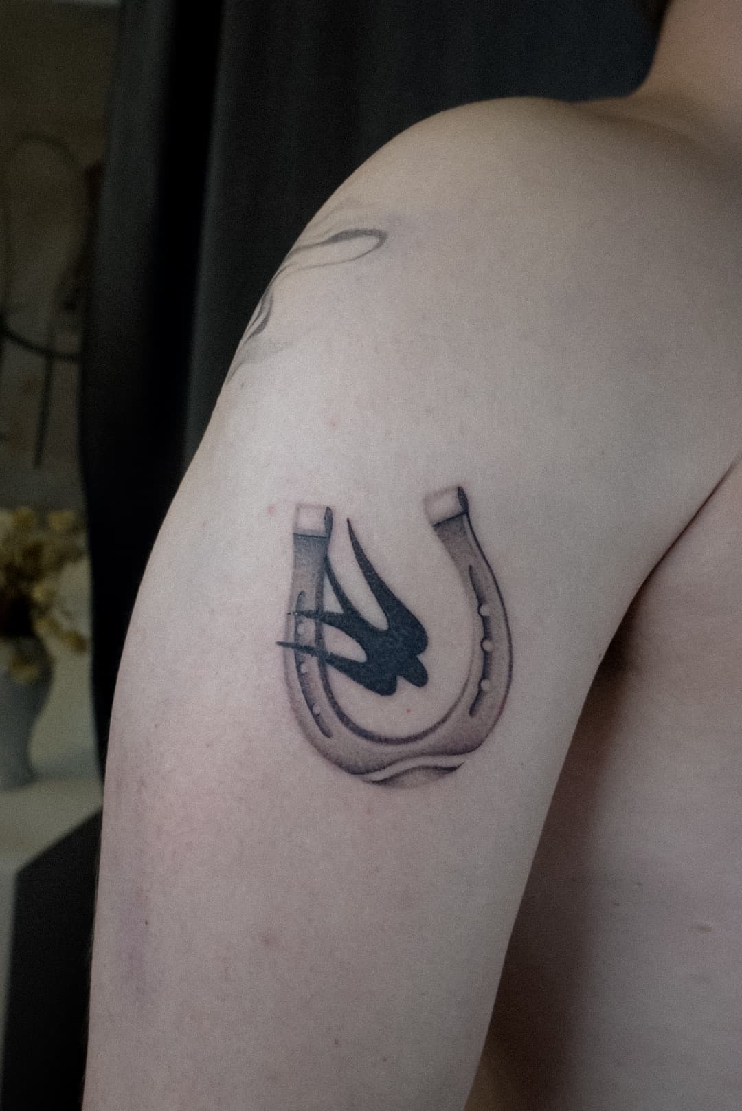 horse shoe swallow 