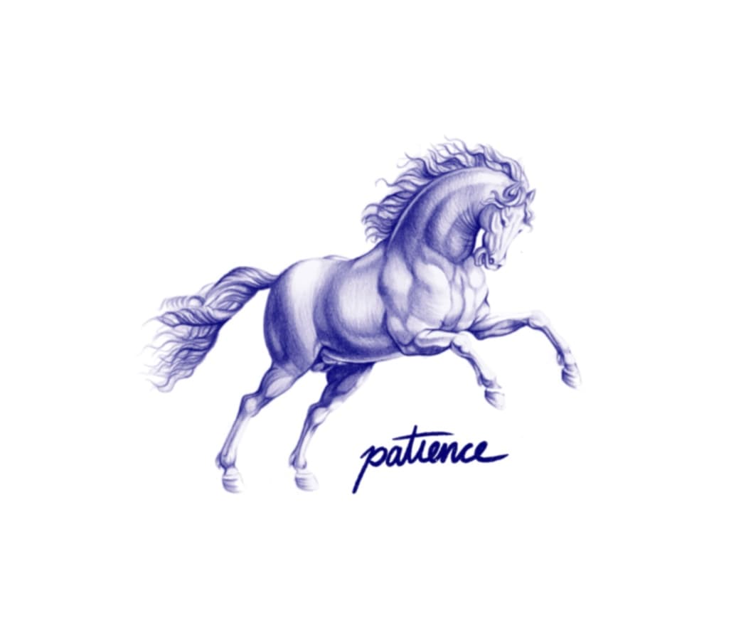 Patience horse 